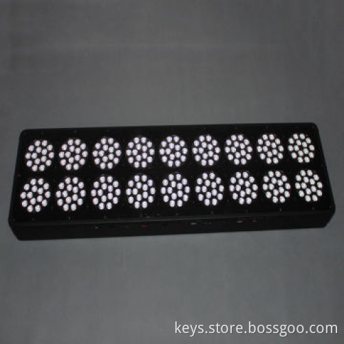 650W Full Spectrum LED Plant Growing Lights, 50Hz, CE Certified, RoHS Directive-compliant